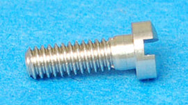 BODY JOINT RING SCREW